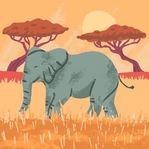 Meet your Posher, Madelynn